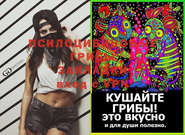 амф Горно-Алтайск
