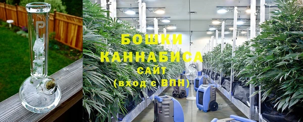 СК Гусь-Хрустальный