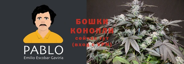 СК Гусь-Хрустальный