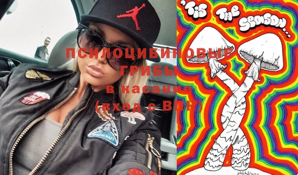 мдпв Сатка