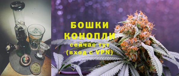 мдпв Горнозаводск