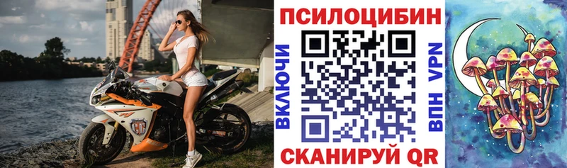 Галлюциногенные грибы MAGIC MUSHROOMS  закладка  Волчанск 